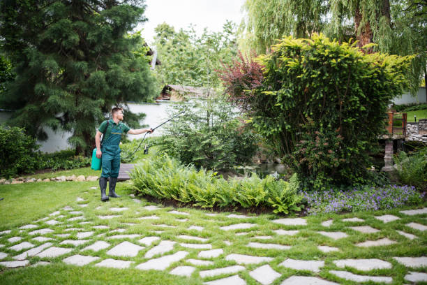 Best Pest Control Cost  in Lemoyne, PA