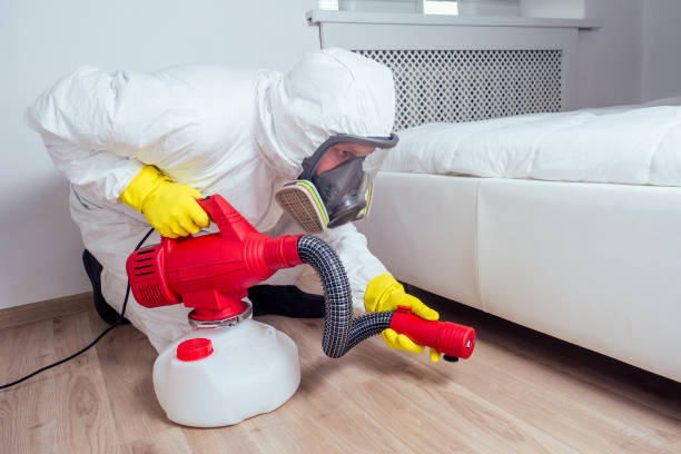 Best Affordable Pest Control Services  in Lemoyne, PA