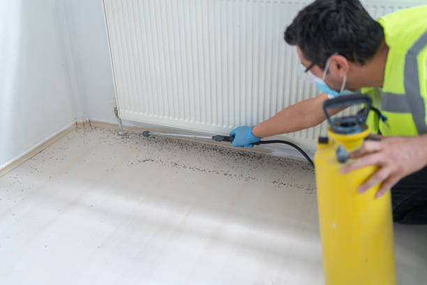 Best Wasp Removal Services  in Lemoyne, PA