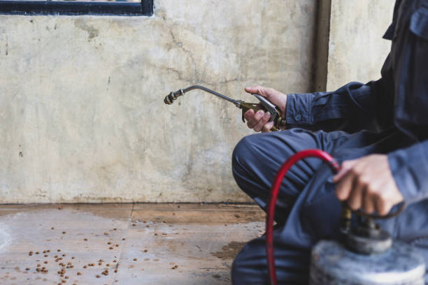 Best Commercial Pest Control Services  in Lemoyne, PA